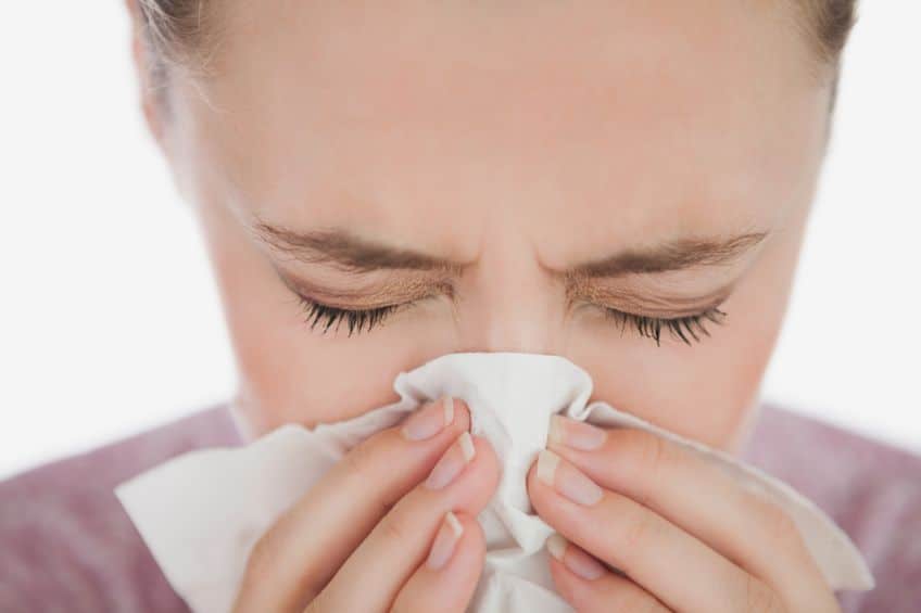 How to Fight Off Spring Allergies | Champion Home Services